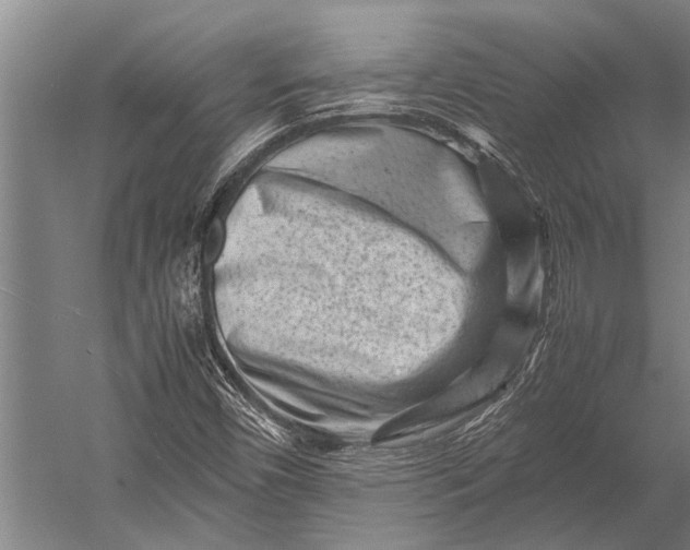 X0000053011450200507221301