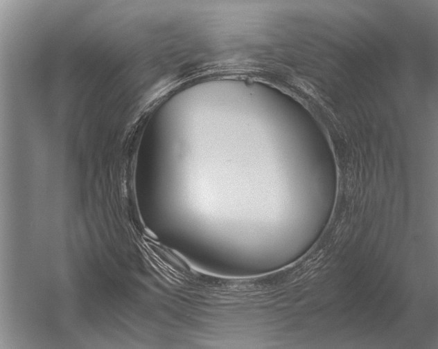 X0000053011451200507221301