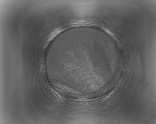 X0000053011453200507221301