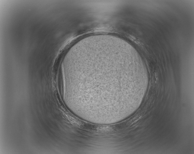 X0000053011454200507221300