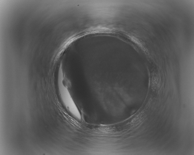 X0000053011455200507221300