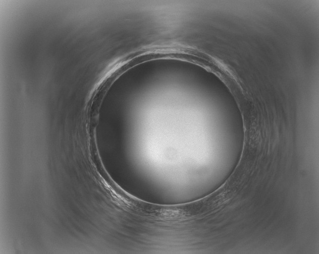 X0000053011456200507221300