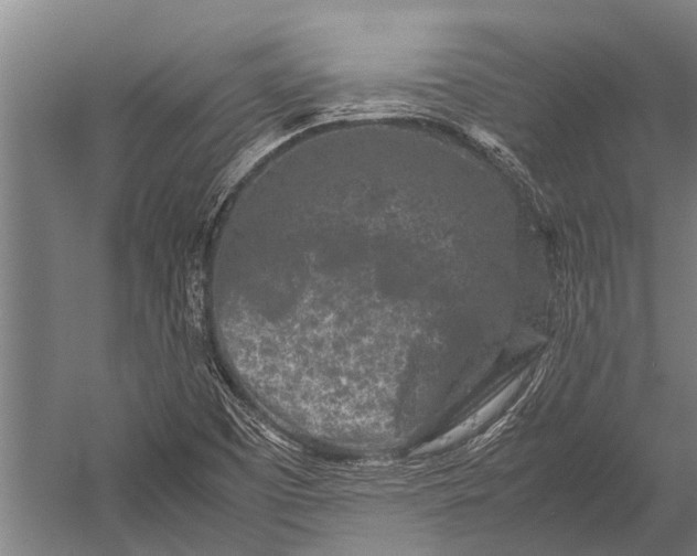 X0000053011457200507221300