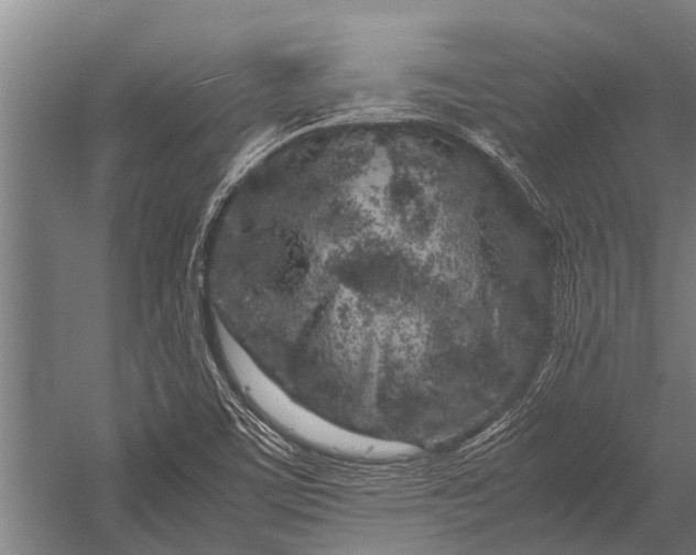 X0000053011459200507221300