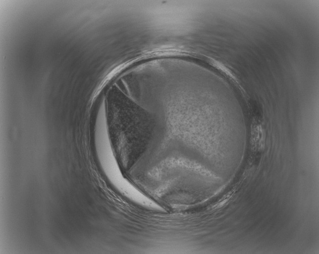 X0000053011461200507221300