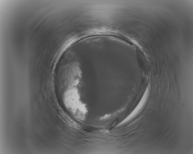 X0000053011463200507221300