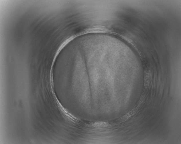 X0000053011466200507221300