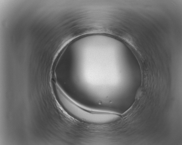 X0000053011468200507221300