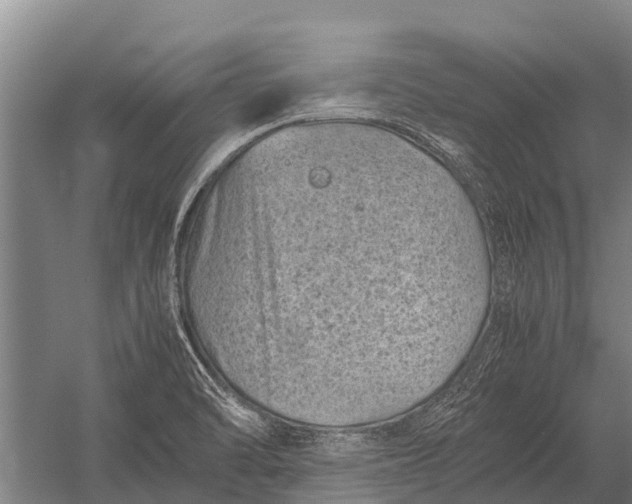 X0000053011470200507221300