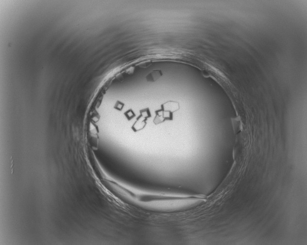 X0000053011471200507221300