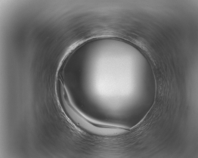 X0000053011472200507221300