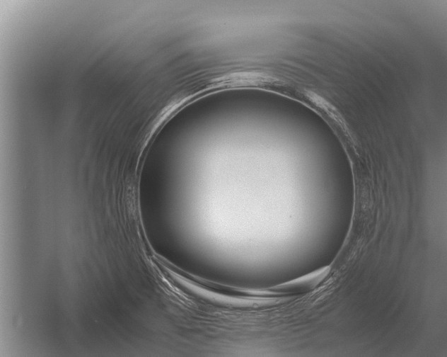 X0000053011473200507221300