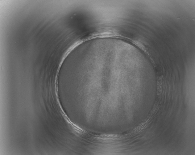 X0000053011474200507221300