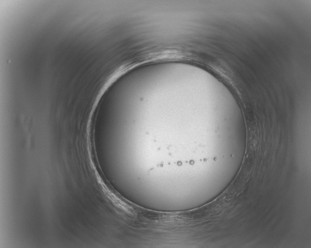 X0000053011475200507221300