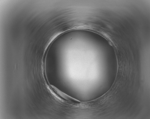 X0000053011476200507221300