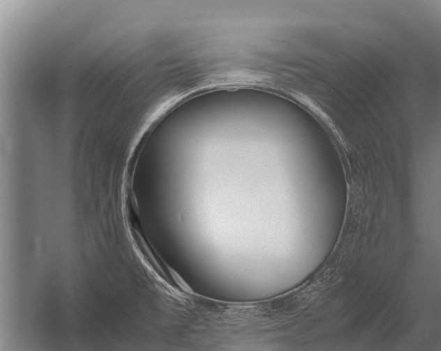 X0000053011477200507221300