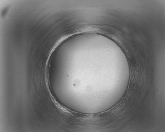 X0000053011478200507221300