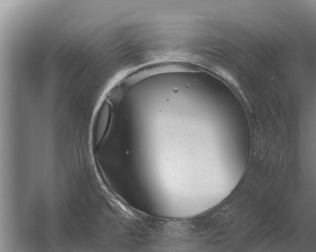 X0000053011480200507221300