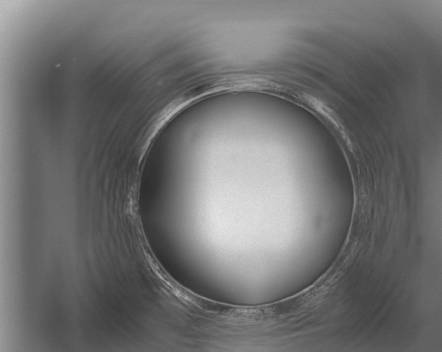 X0000053011481200507221300