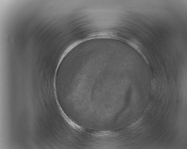 X0000053011482200507221300