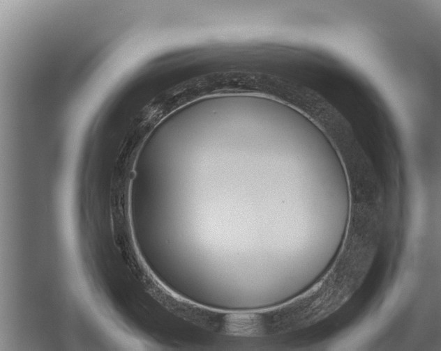 X0000053011487200507221300