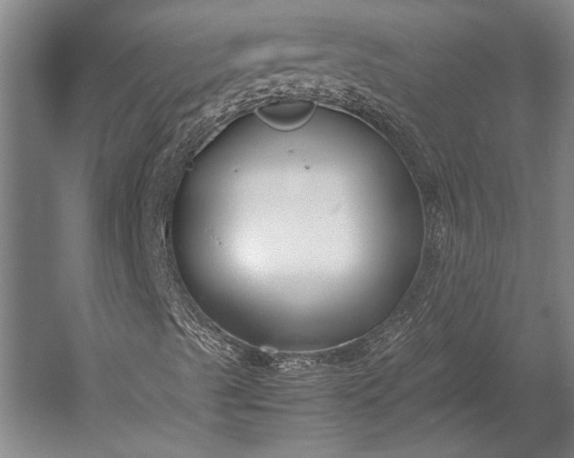 X0000053011489200507221259