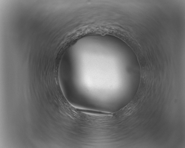 X0000053011490200507221259