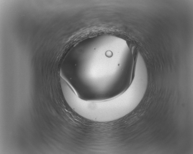 X0000053011492200507221259