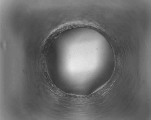 X0000053011494200507221259