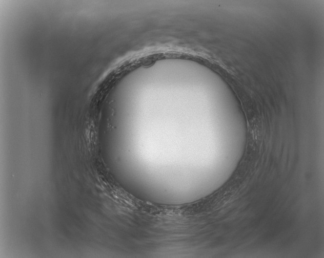 X0000053011495200507221259