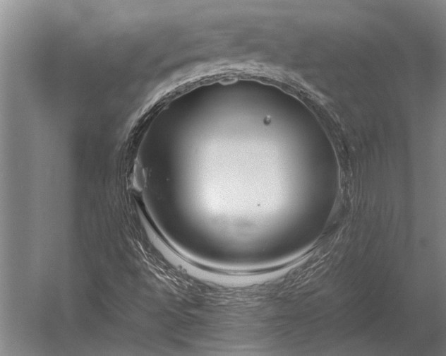 X0000053011496200507221259