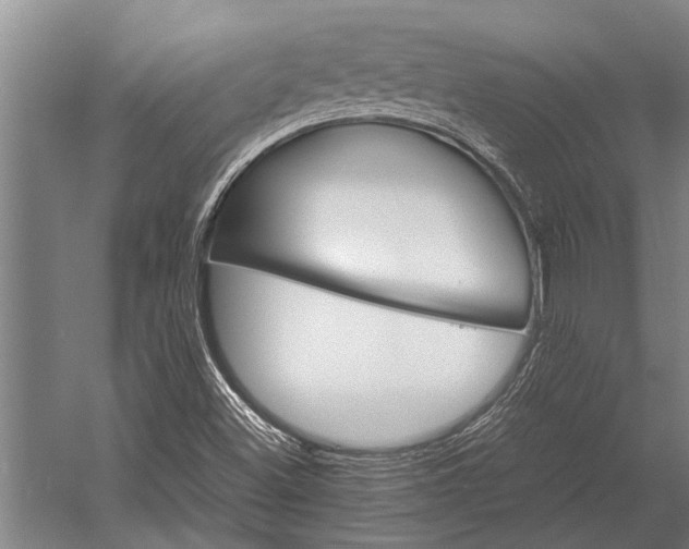 X0000053011500200507221259