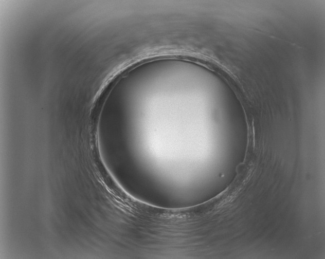 X0000053011501200507221259