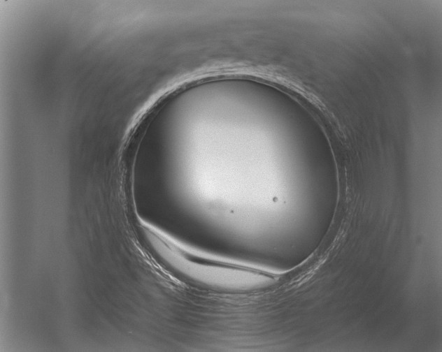 X0000053011502200507221259