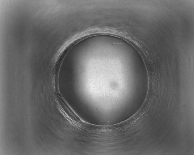 X0000053011503200507221259