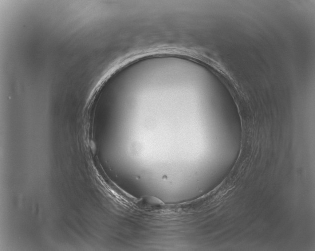 X0000053011504200507221259