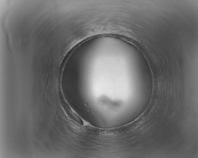 X0000053011505200507221259