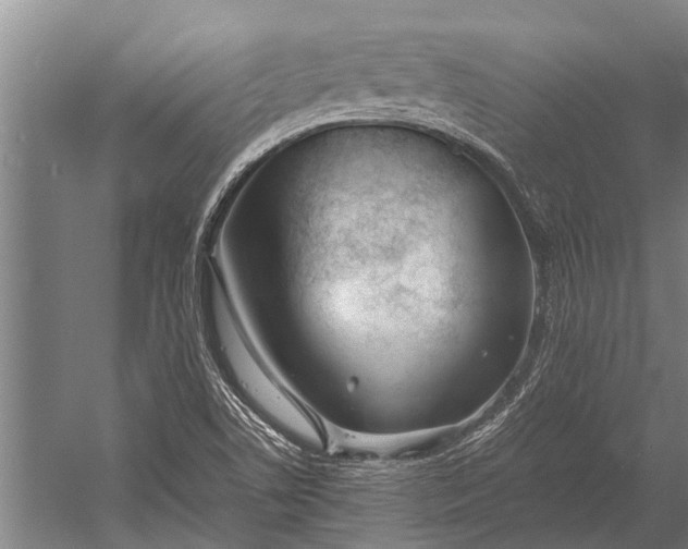 X0000053011506200507221259