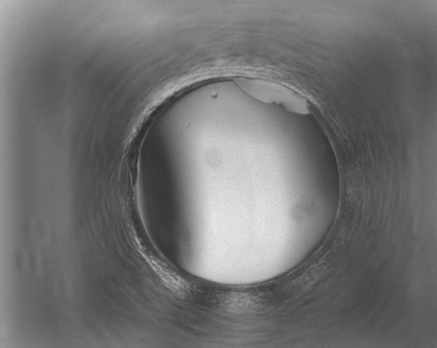 X0000053011507200507221259