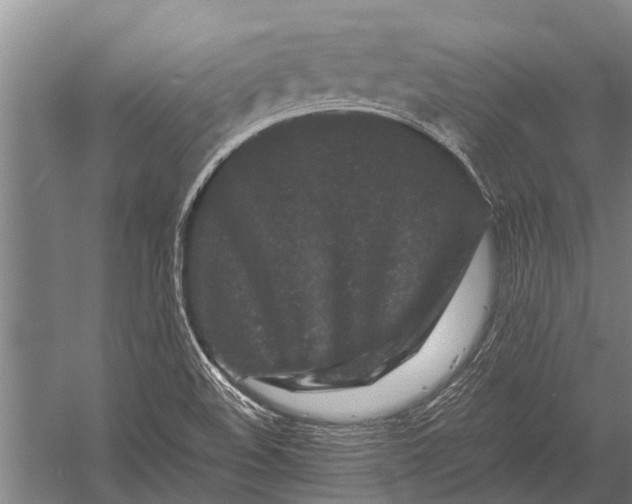 X0000053011508200507221259