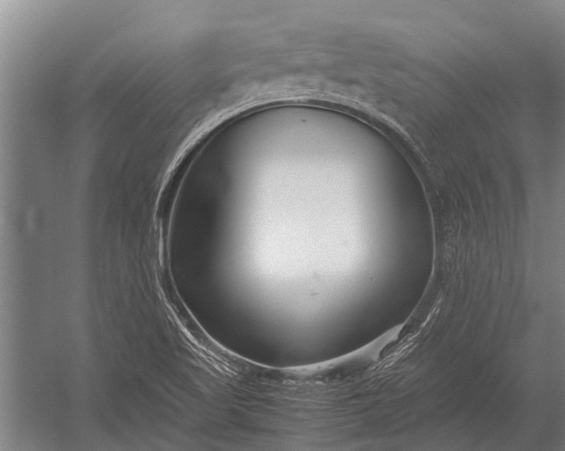 X0000053011509200507221259