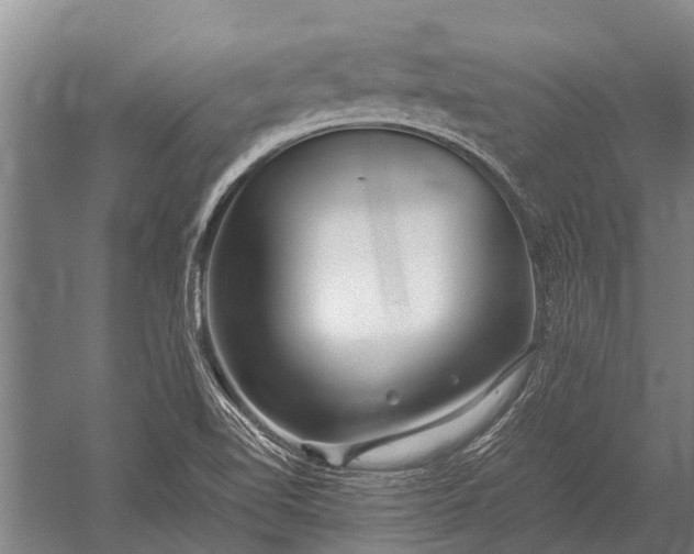 X0000053011510200507221259