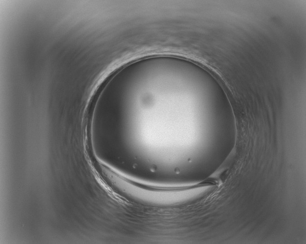 X0000053011511200507221259