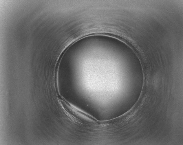 X0000053011513200507221300