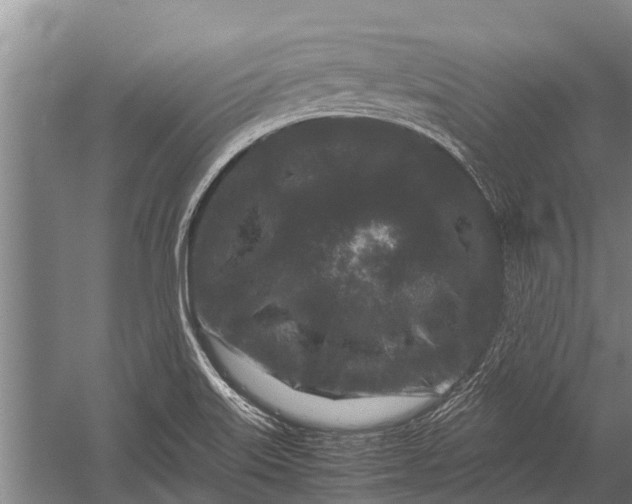 X0000053011515200507221300