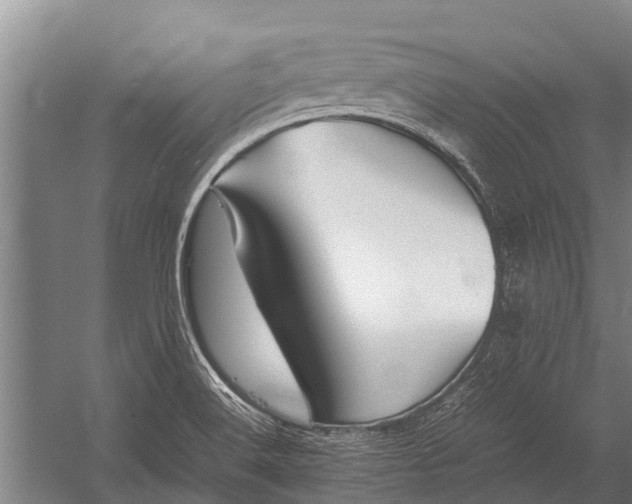 X0000053011516200507221300