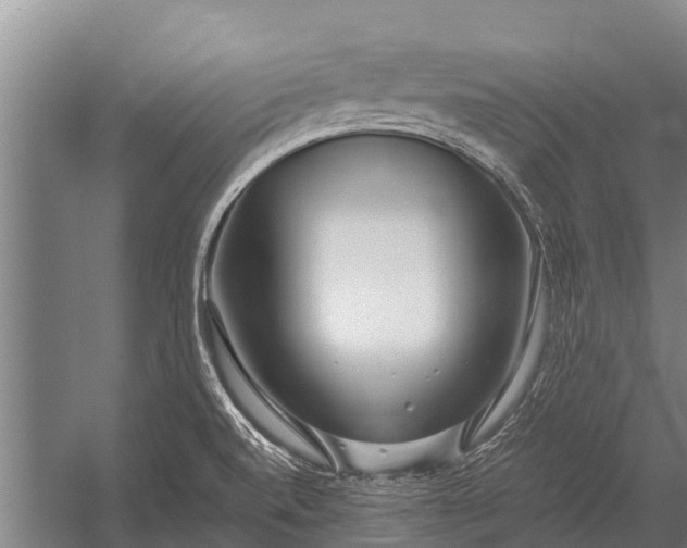 X0000053011520200507221300