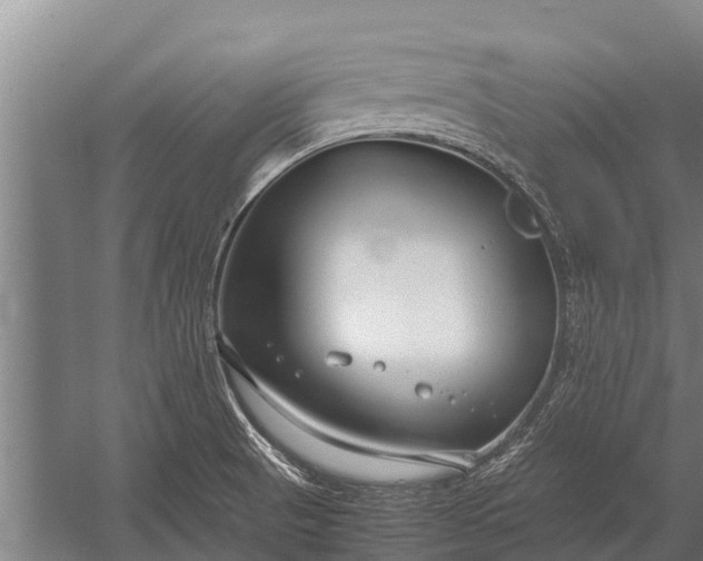 X0000053011521200507221300