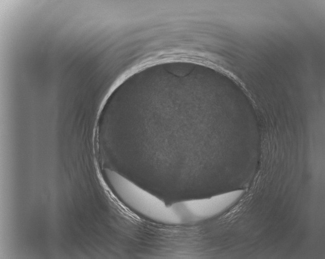 X0000053011522200507221300