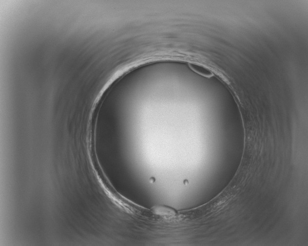 X0000053011523200507221300